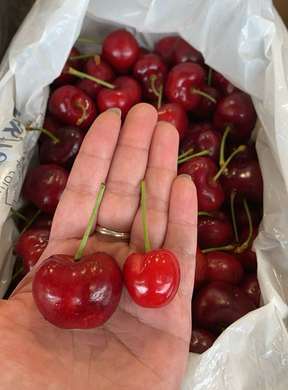 Smiths Fruit Cherry 36-38mm