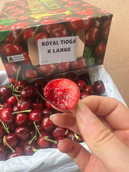 Glen Red XL Cherry 2kg/box